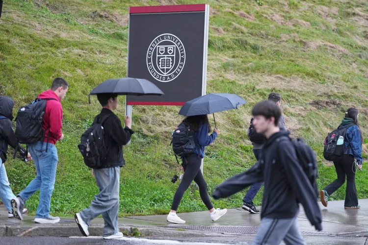 ‘Jane Doe’ solidarity posts flood social media after Cornell rape suit
